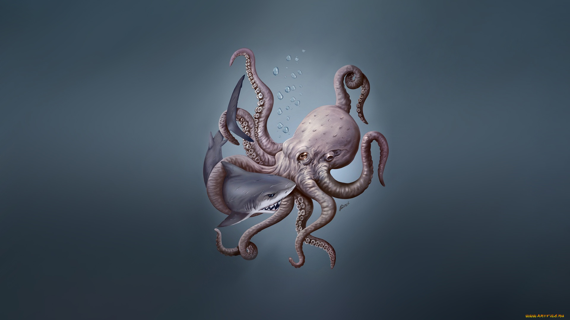 рисованное, минимализм, осьминог, фон, акула, стиль