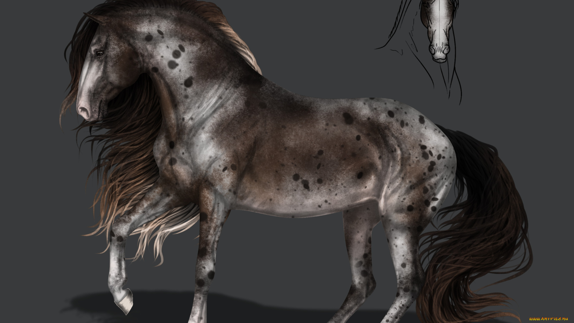 рисованное, животные, , лошади, конь, фон