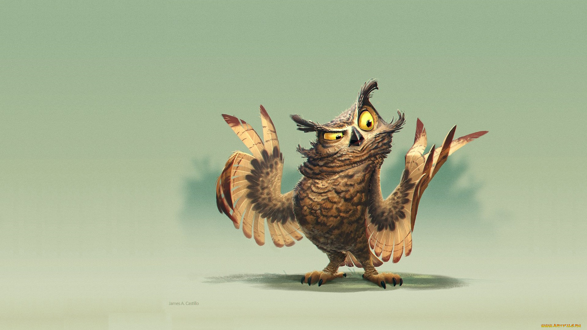 рисованное, животные, , птицы, , совы, , филины, james, castillo, owl, painting, арт, позитив, минимализм, сова, настроение