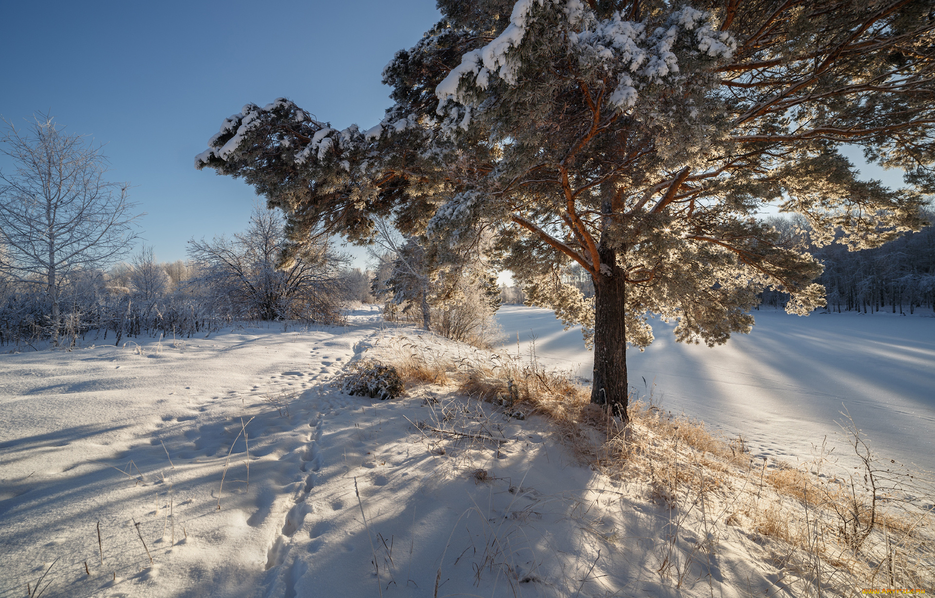 природа, зима, простор