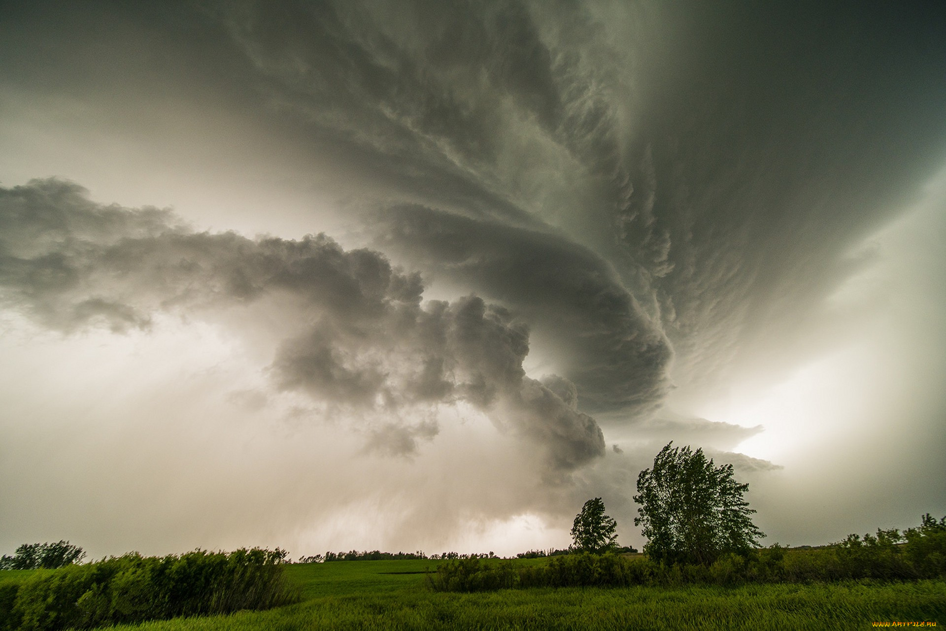 природа, стихия, простор