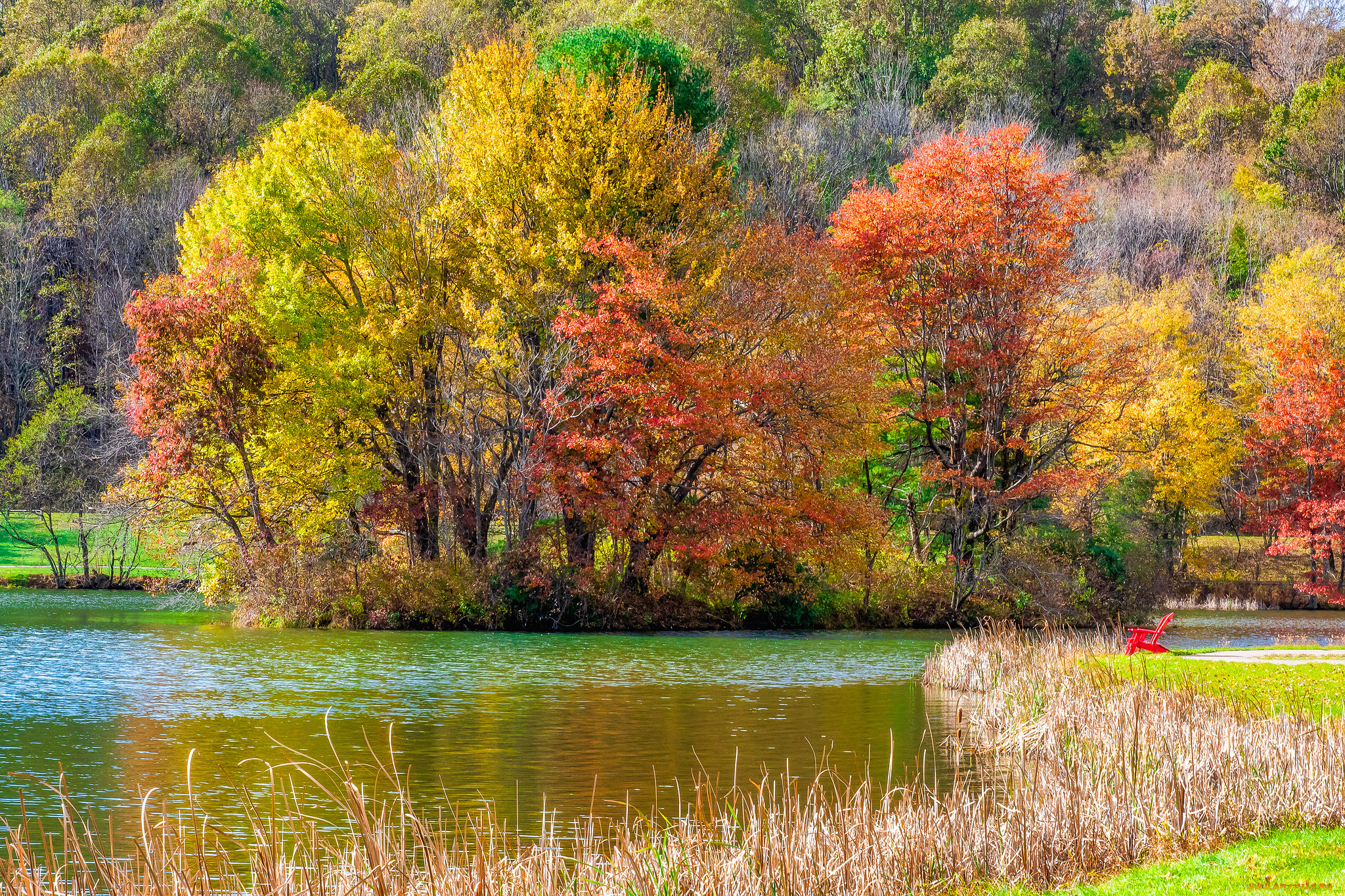 природа, реки, озера, простор