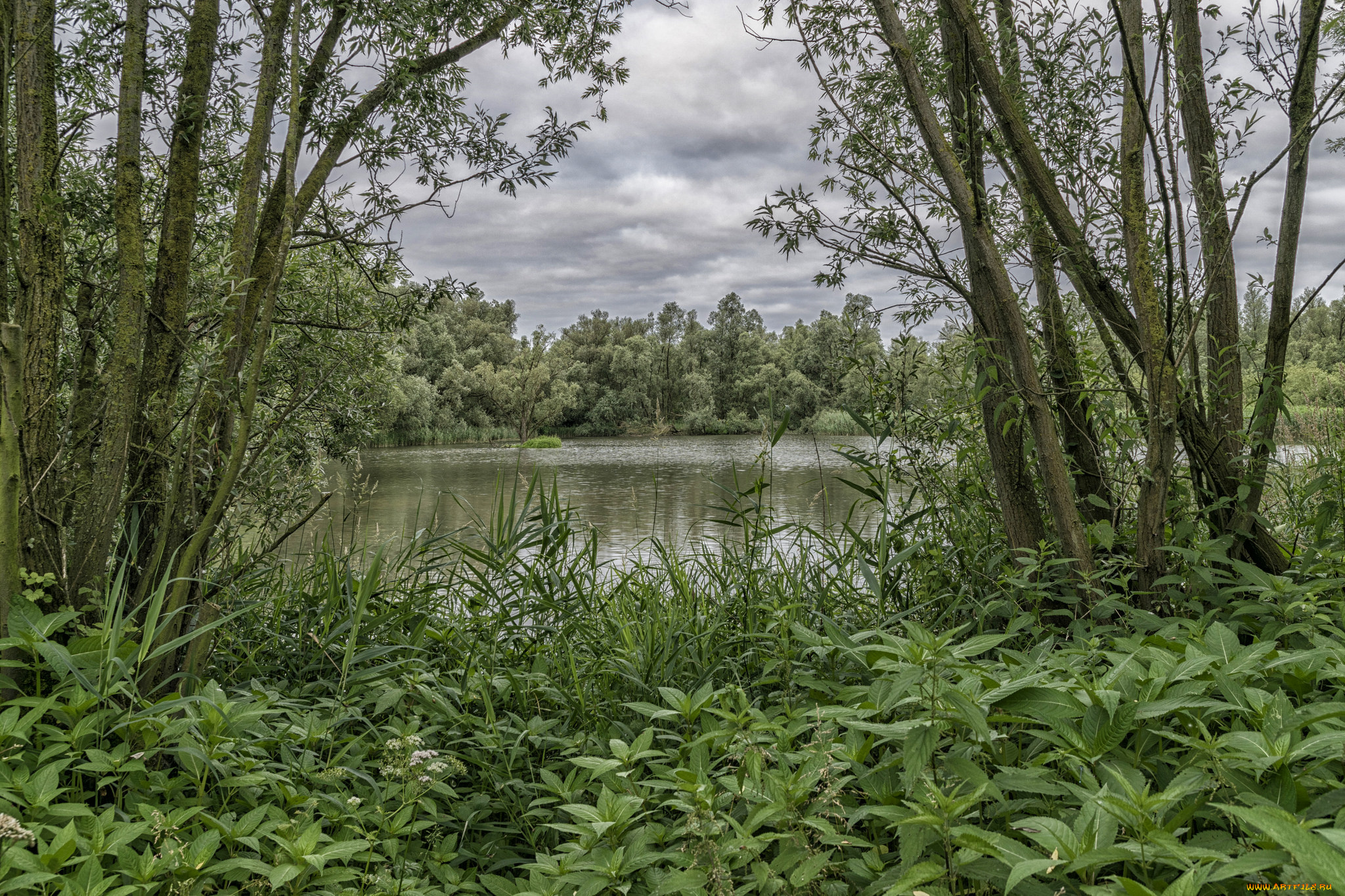 природа, реки, озера, простор