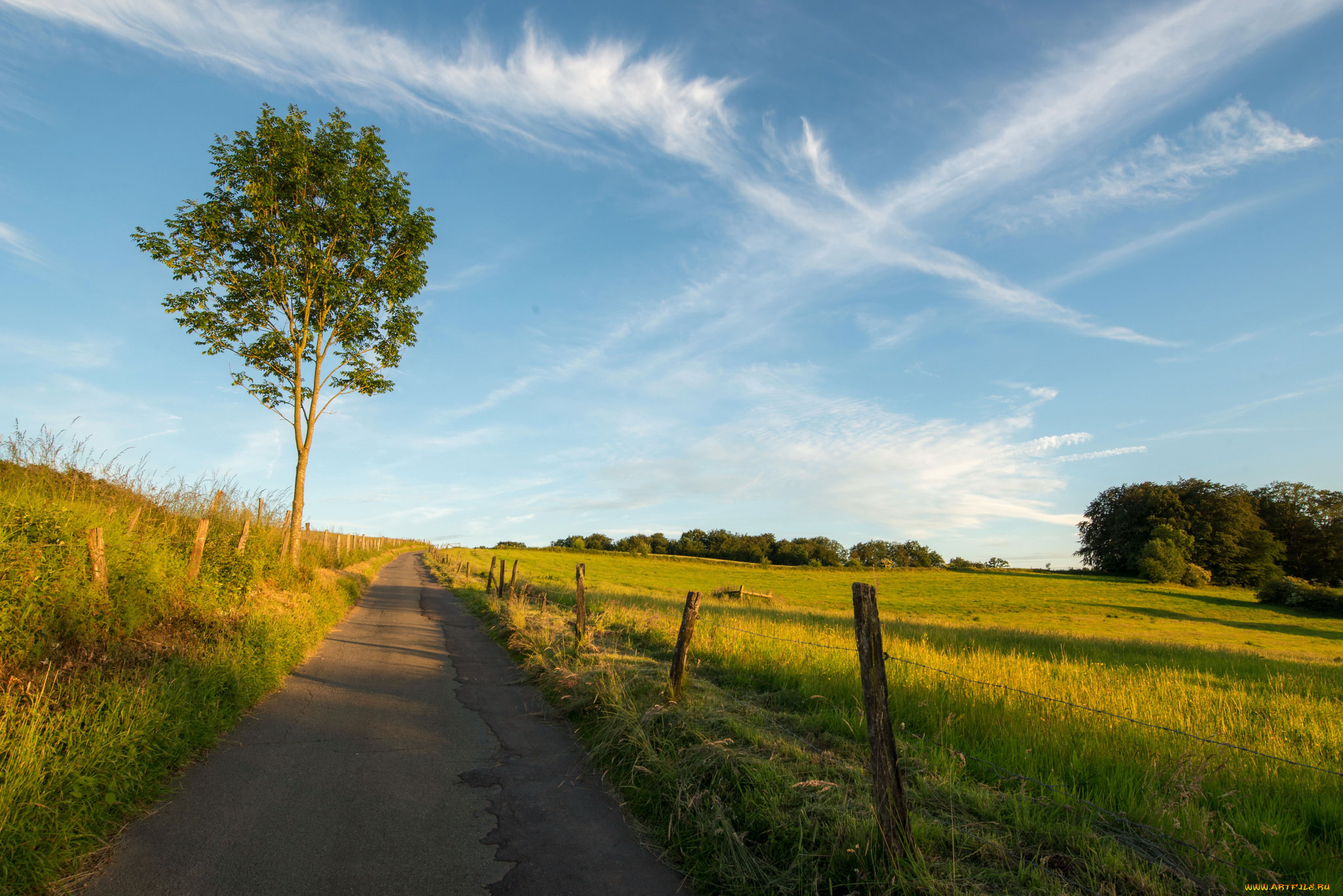 природа, дороги, простор