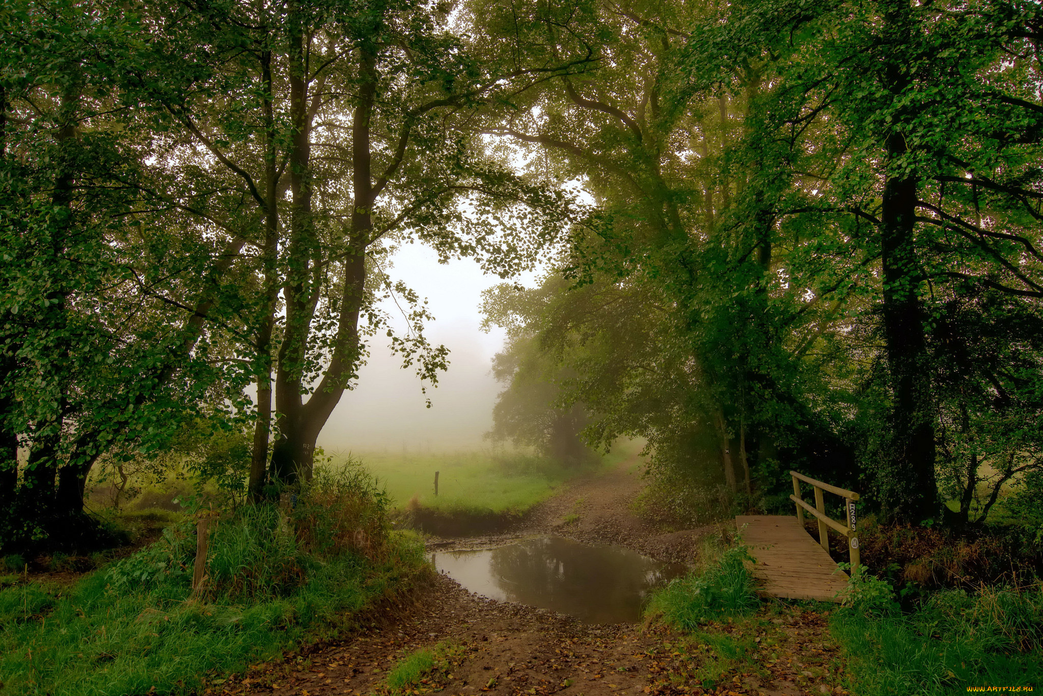 природа, дороги, простор