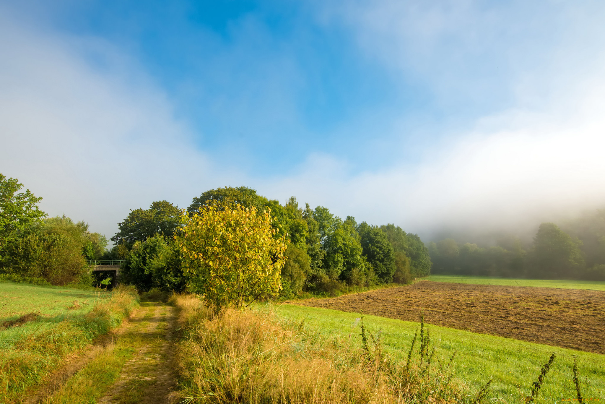 природа, пейзажи, простор