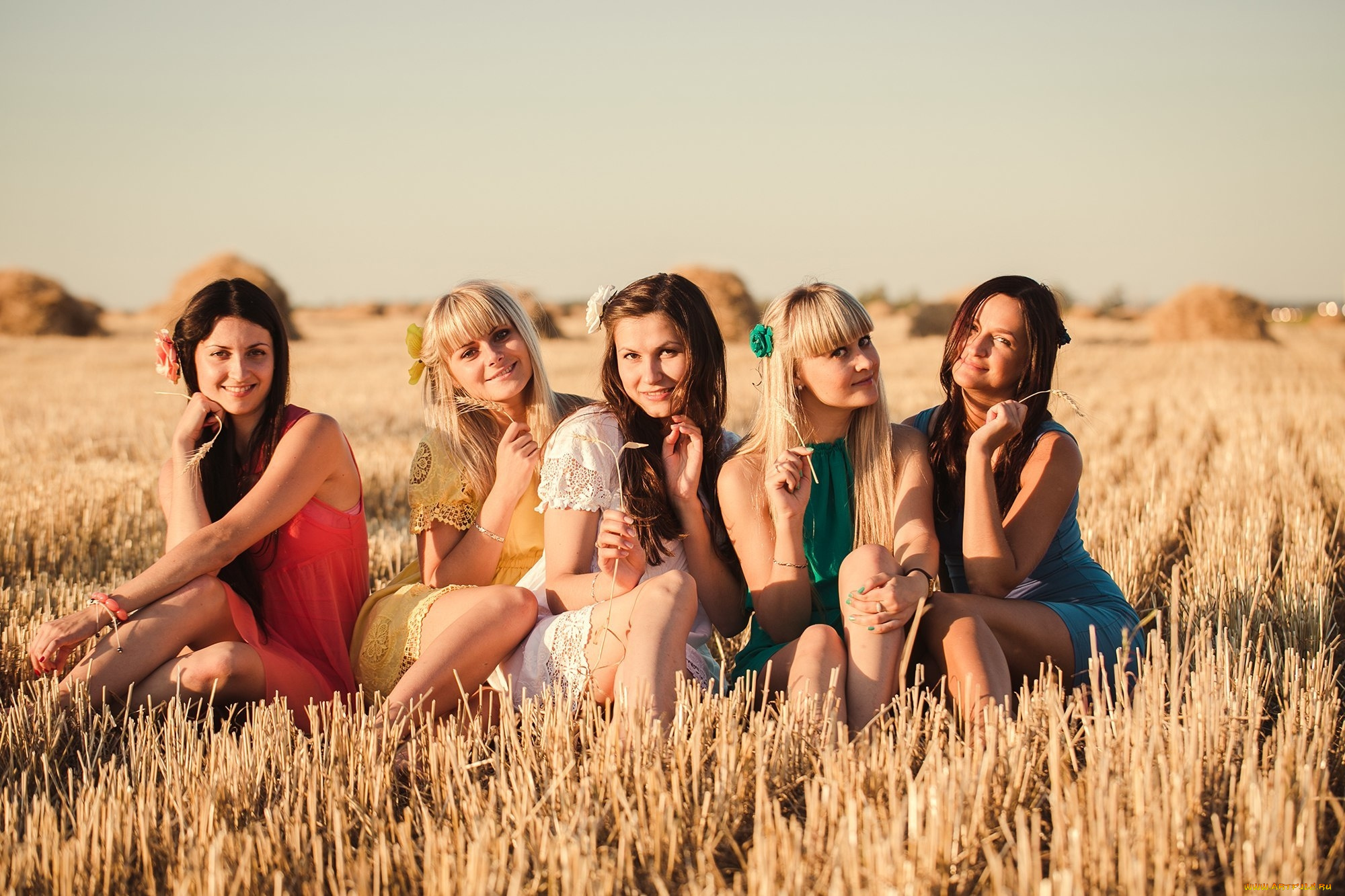 девушки, -unsort, , группа, девушек, позы, подружки, поле, фотосессия