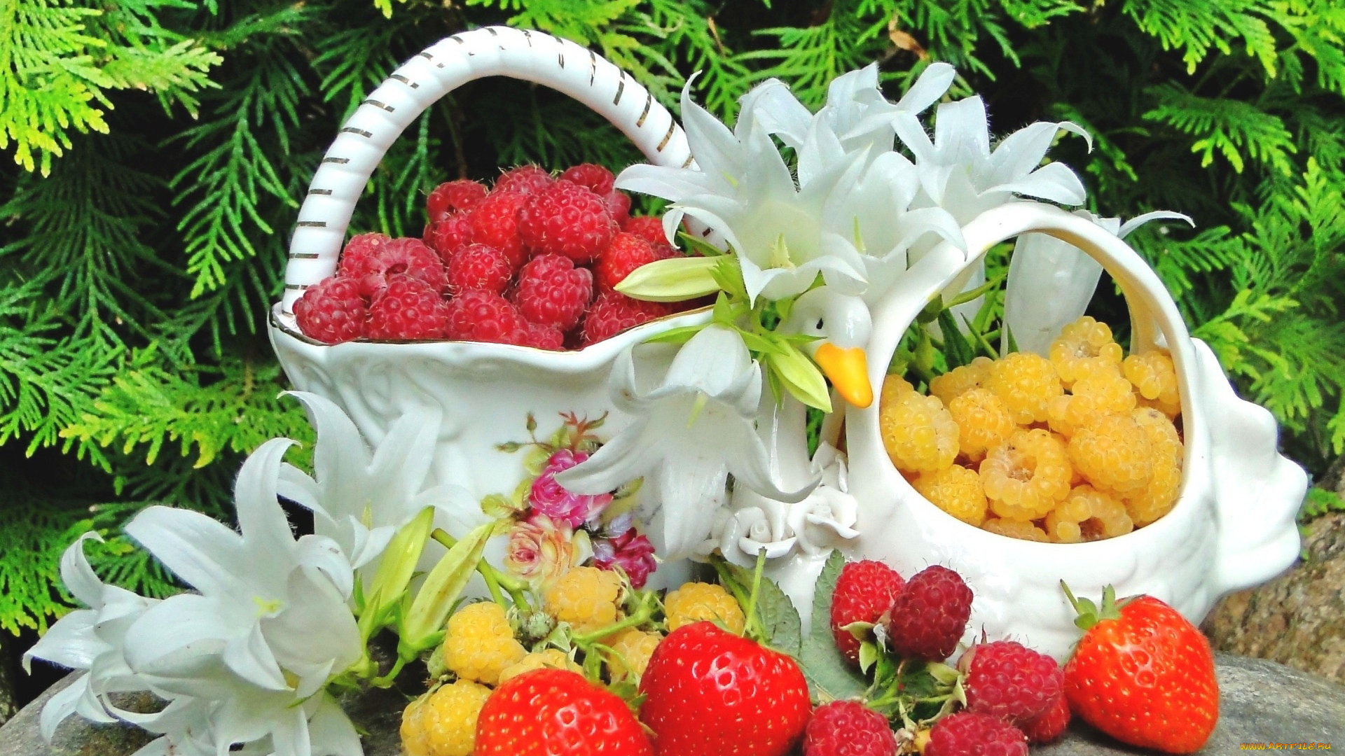 еда, малина, лилии, ягоды