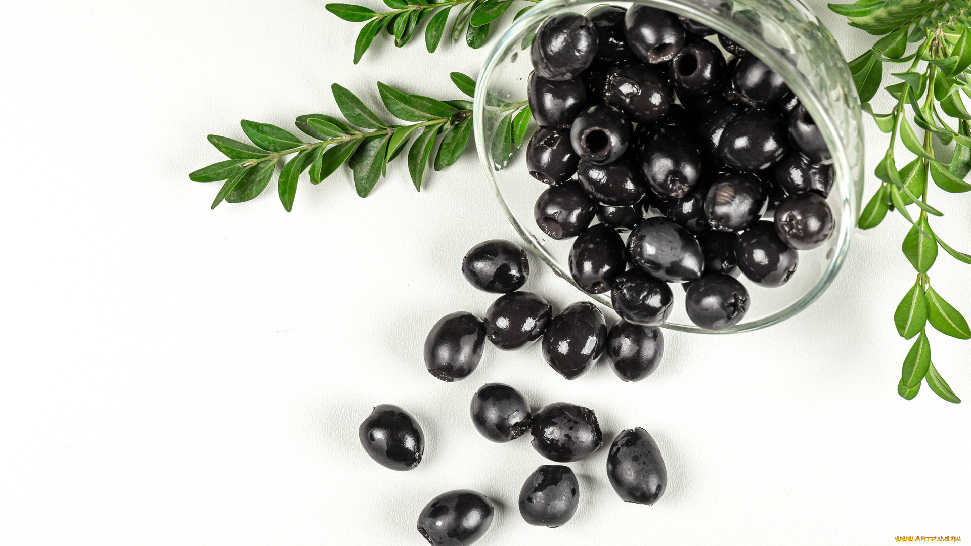 еда, оливки, маслины