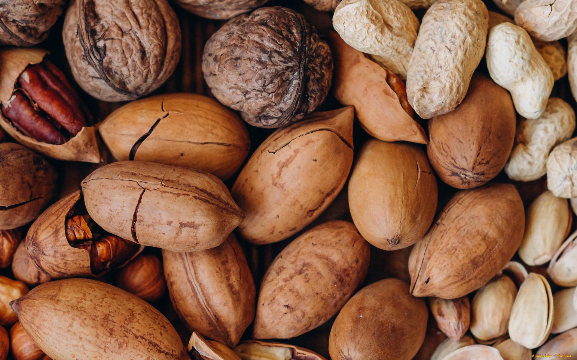 еда, орехи, , каштаны, , какао-бобы, арахис, грецкие, фисташки, ассорти