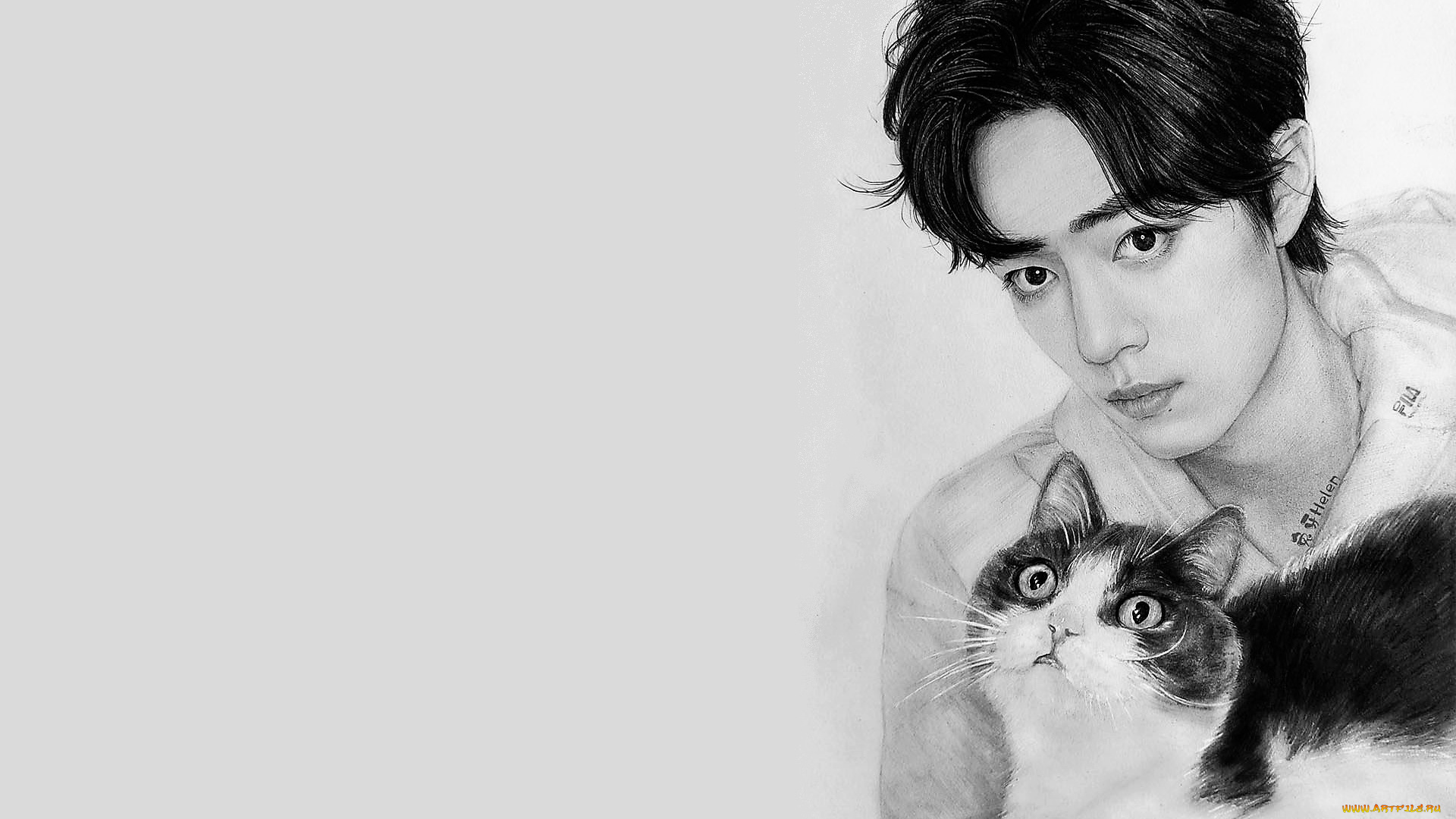 рисованное, люди, сяо, джань, лицо, кошка