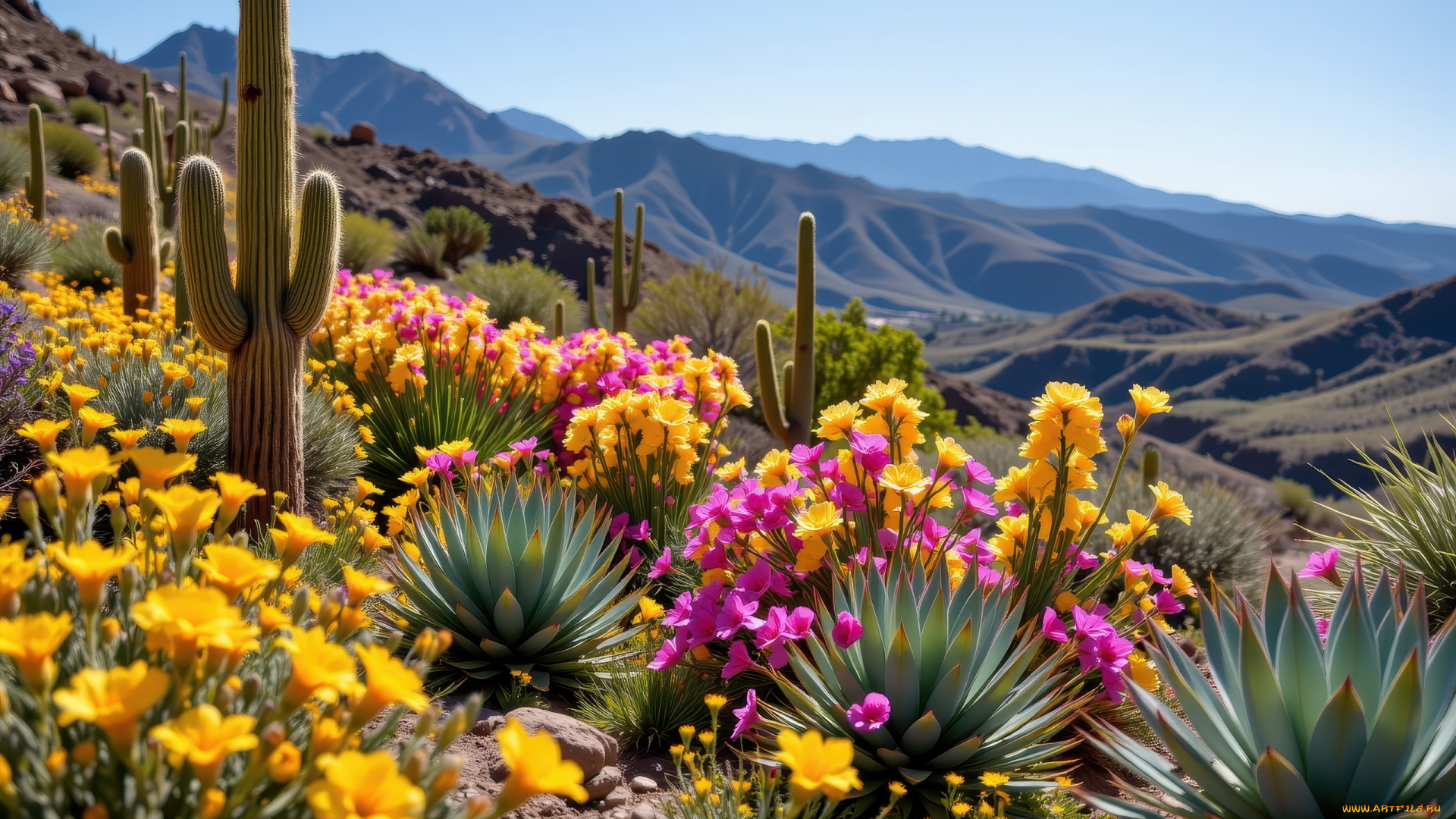 автор, wp, stl, разное, компьютерный, дизайн, горы, кактусы, цветы