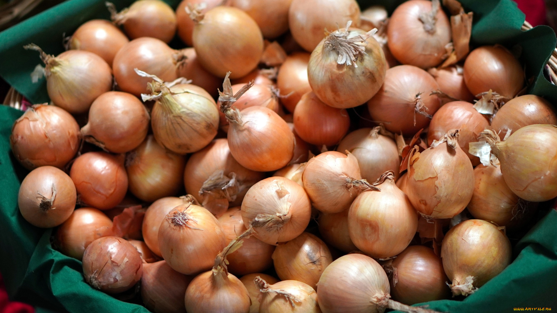 еда, лук, репчатый, много, урожай