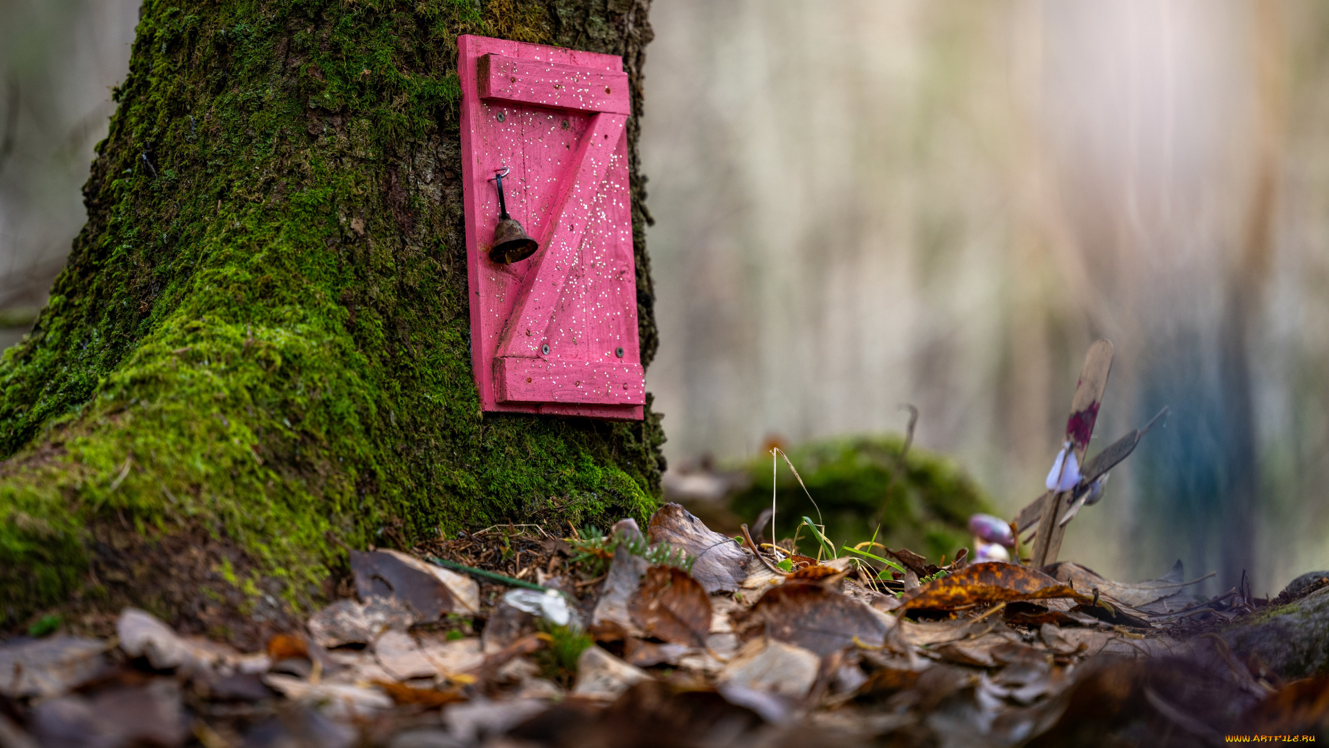 разное, -, другое, пейзаж