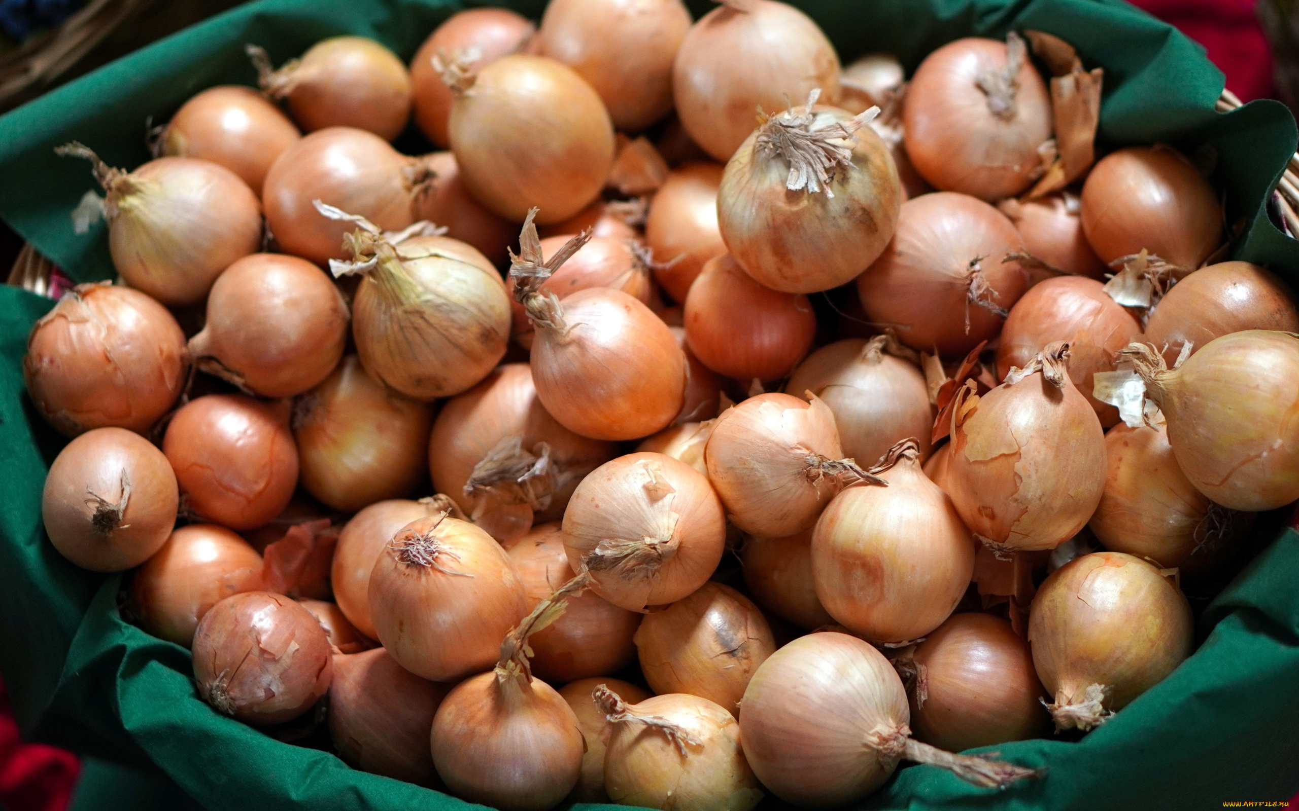 еда, лук, репчатый, много, урожай