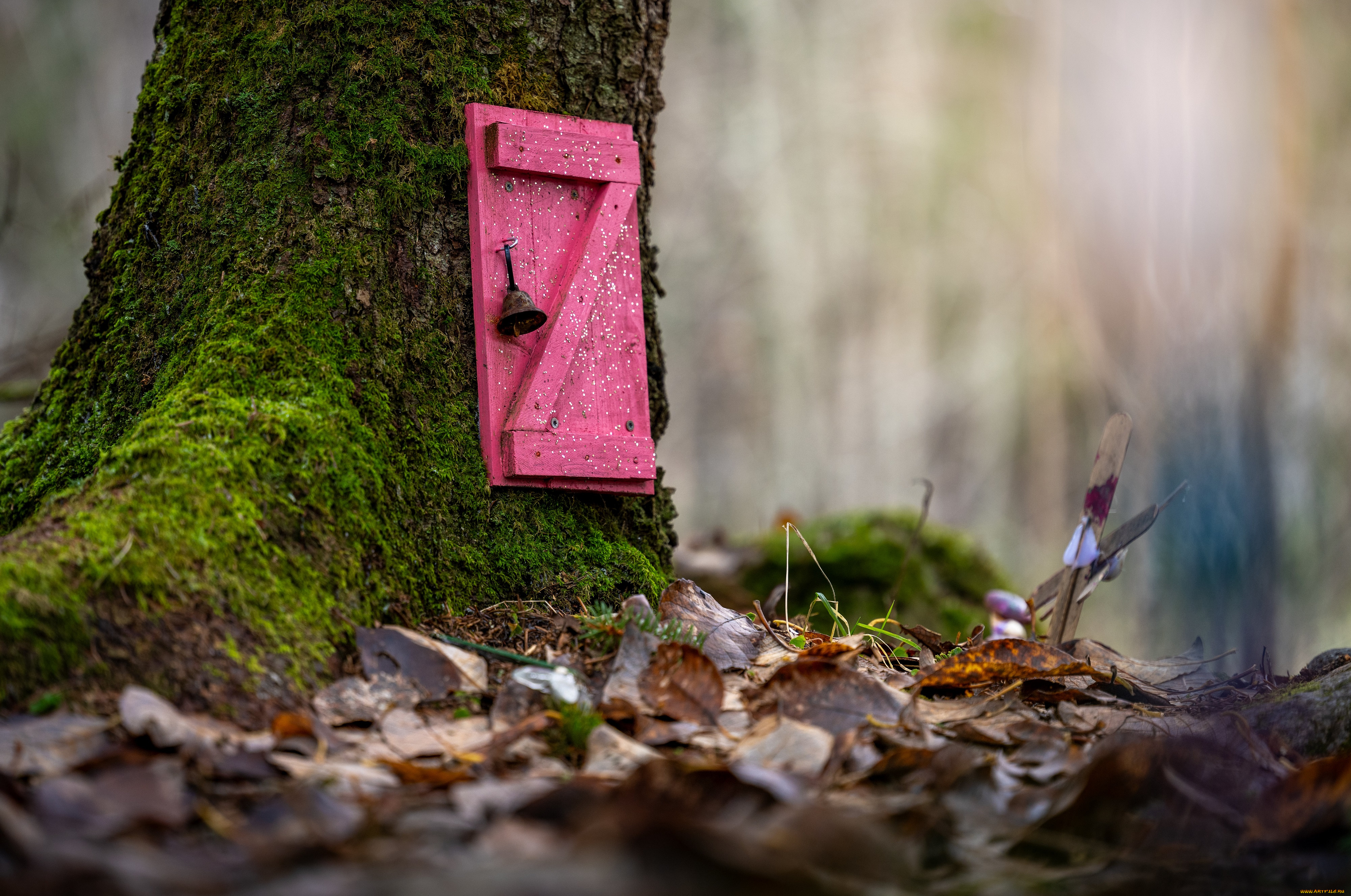 разное, -, другое, пейзаж