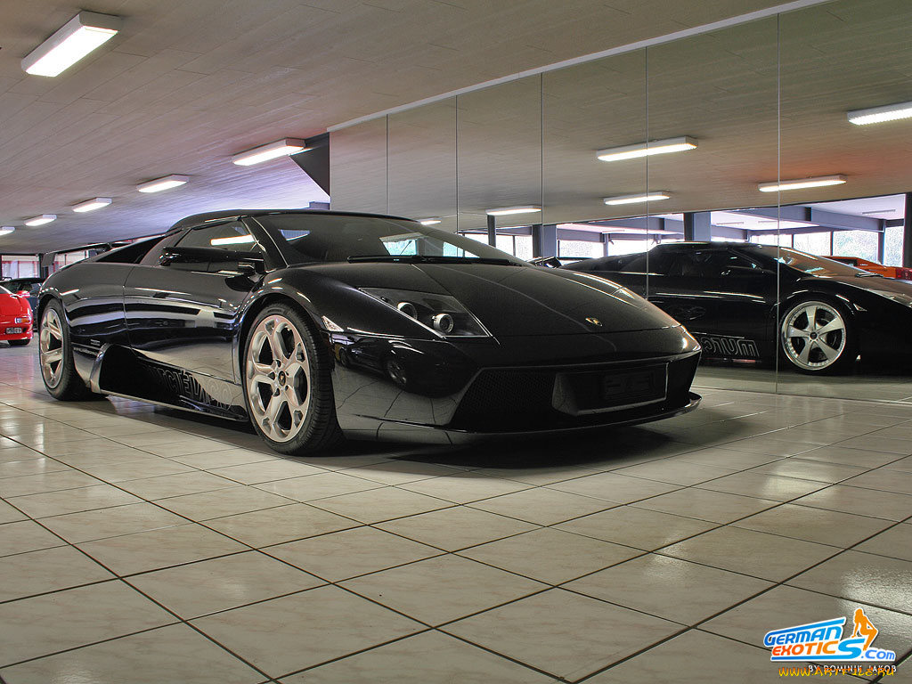 lamborghini, murcielago, spider, автомобили, выставки, уличные, фото