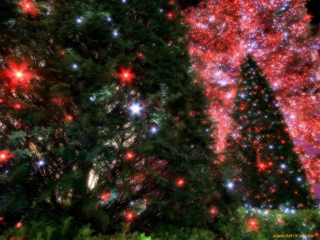 праздничные, Ёлки