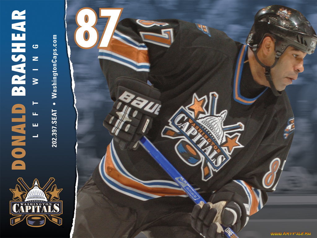 shinoda, спорт, nhl