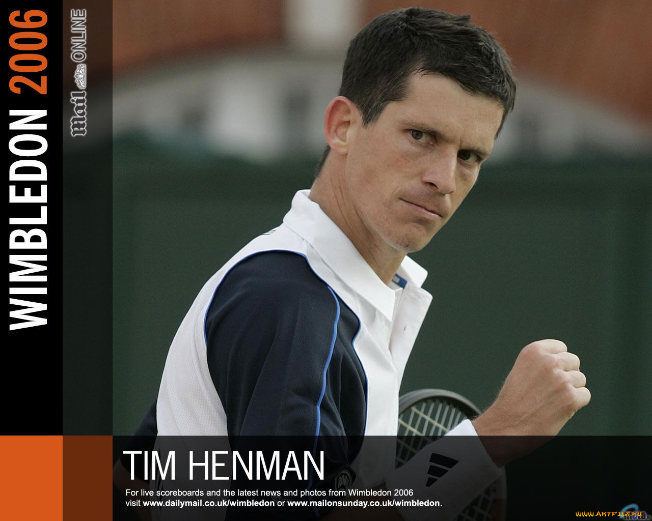 спорт, теннис