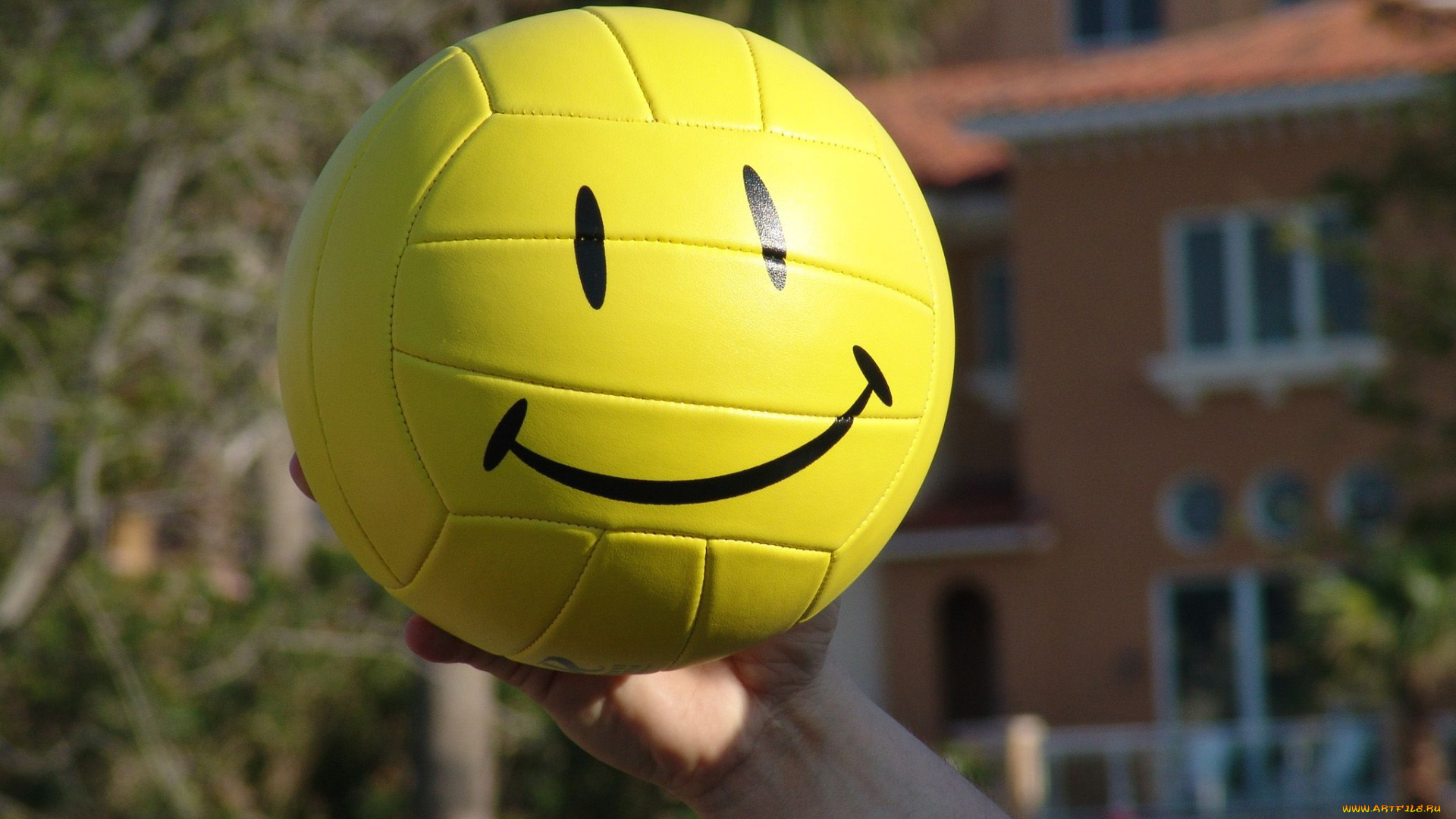 спорт, волейбол