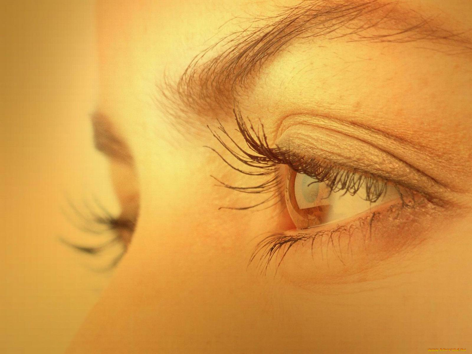 разное, глаза