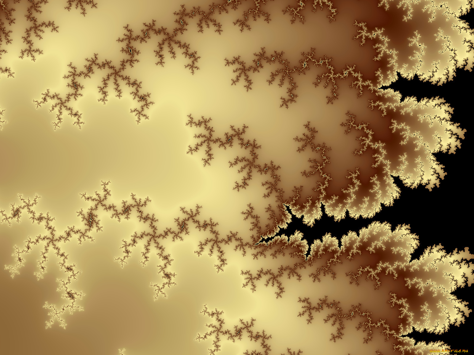 3д, графика, fractal, фракталы, фрактал, фон, узор