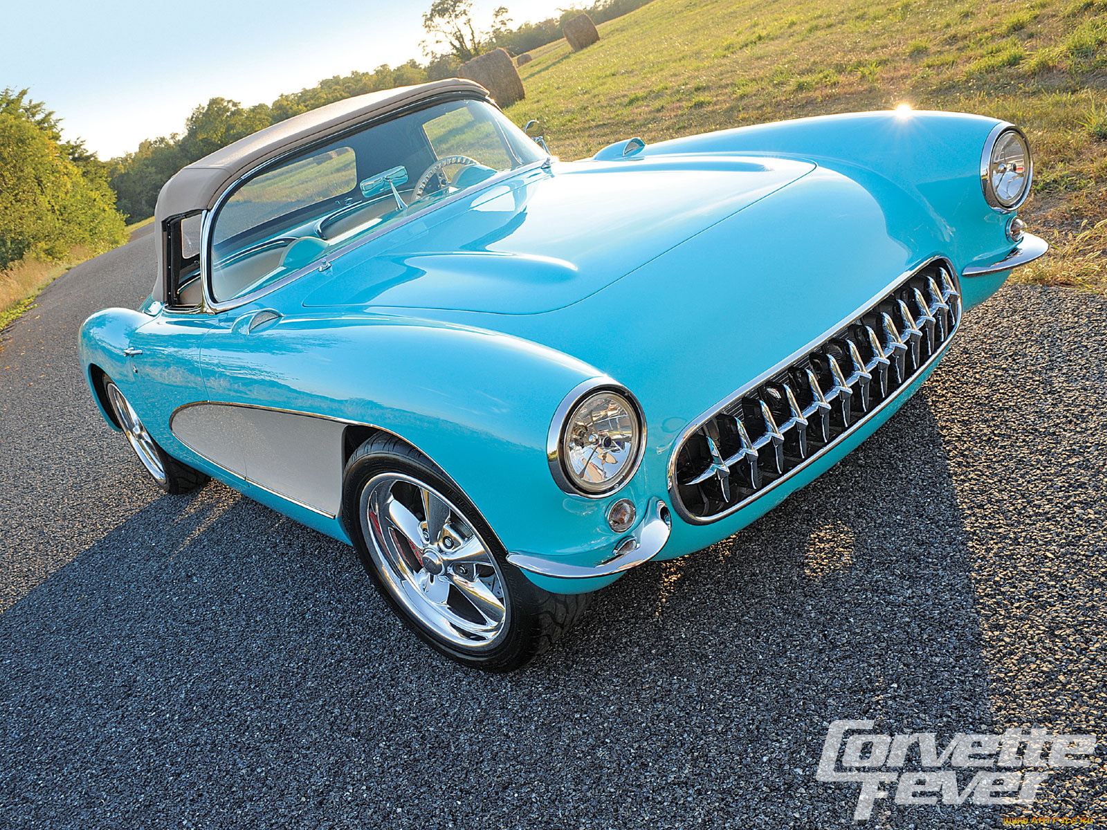 автомобили, corvette