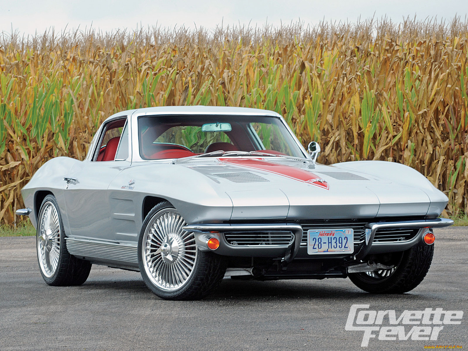 автомобили, corvette