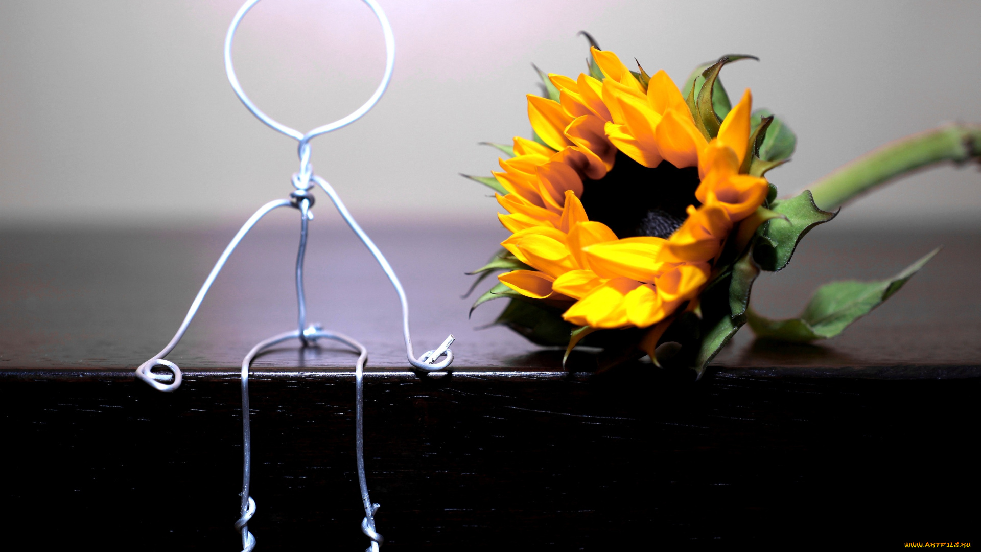 цветы, подсолнухи, человечек, проволока