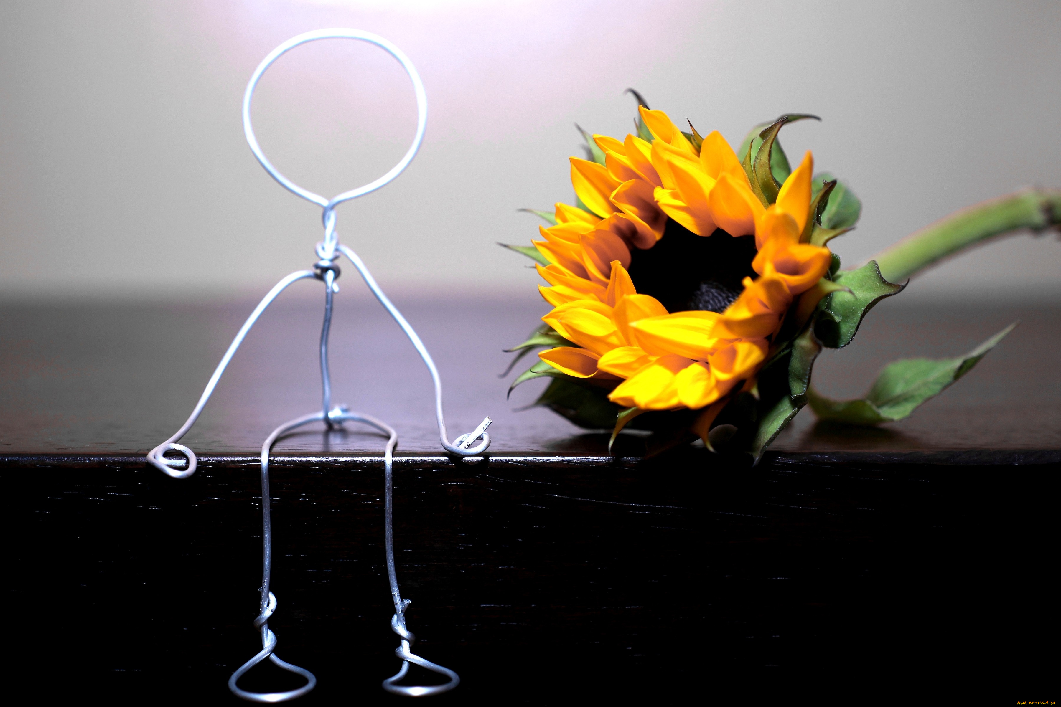 цветы, подсолнухи, человечек, проволока