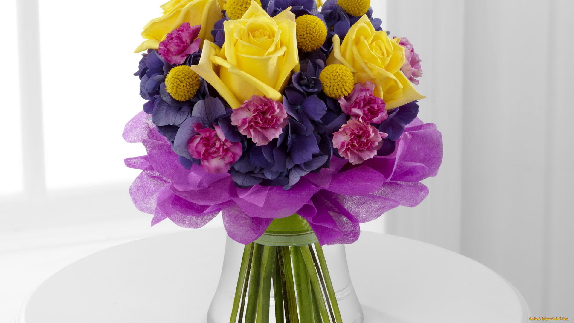 цветы, букеты, композиции, гвоздики, розы, букет