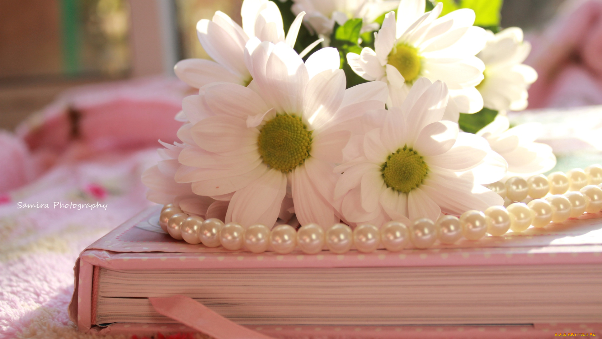 цветы, хризантемы, книга, ожерелье