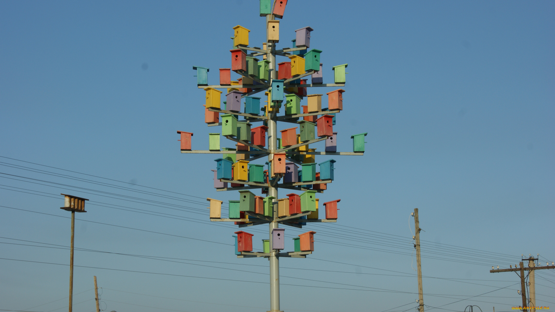 птицы, тоже, предпочитают, жить, мегаполисах, юмор, приколы, небо, скворечники, столбы, провода
