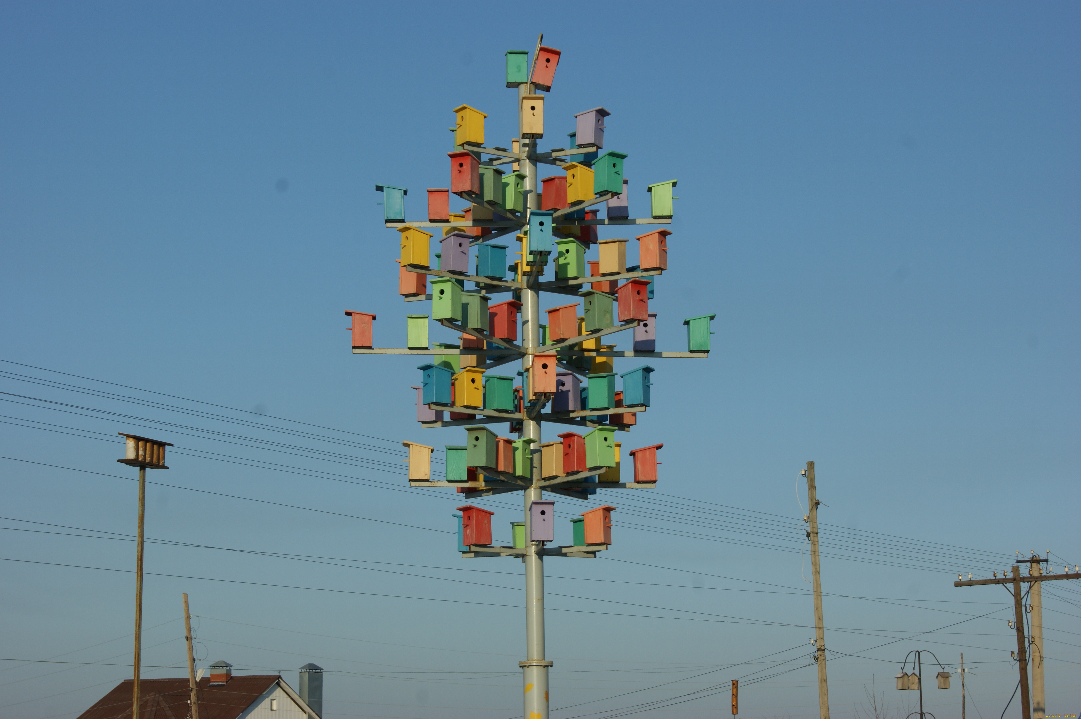птицы, тоже, предпочитают, жить, мегаполисах, юмор, приколы, небо, скворечники, столбы, провода