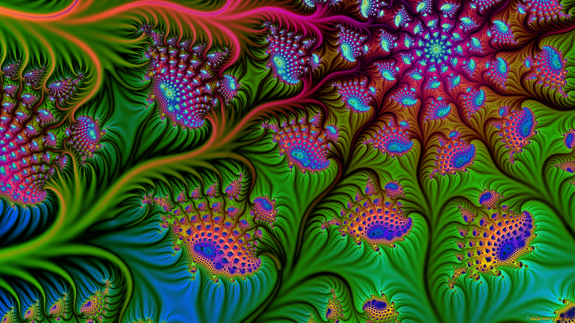 3д, графика, fractal, , фракталы, узор, цвета, фон