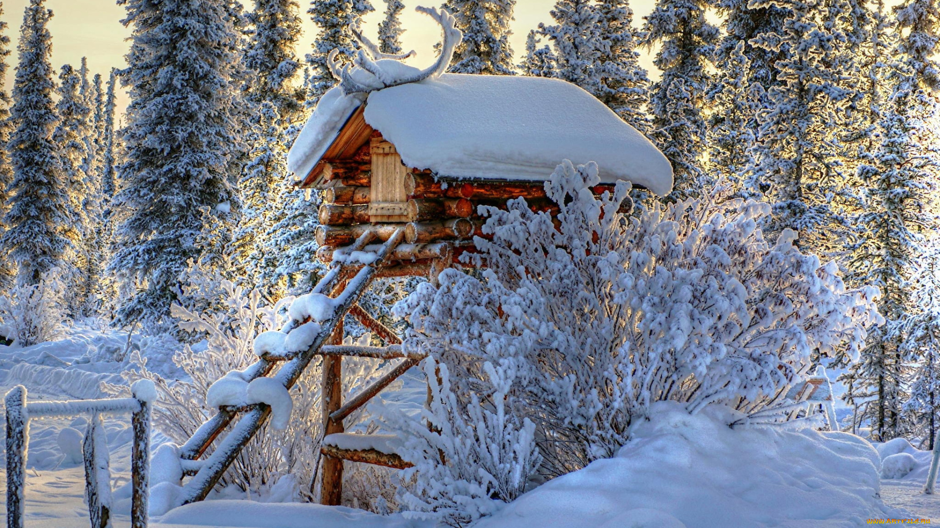природа, зима, лесница, лес, снег, деревья, домик