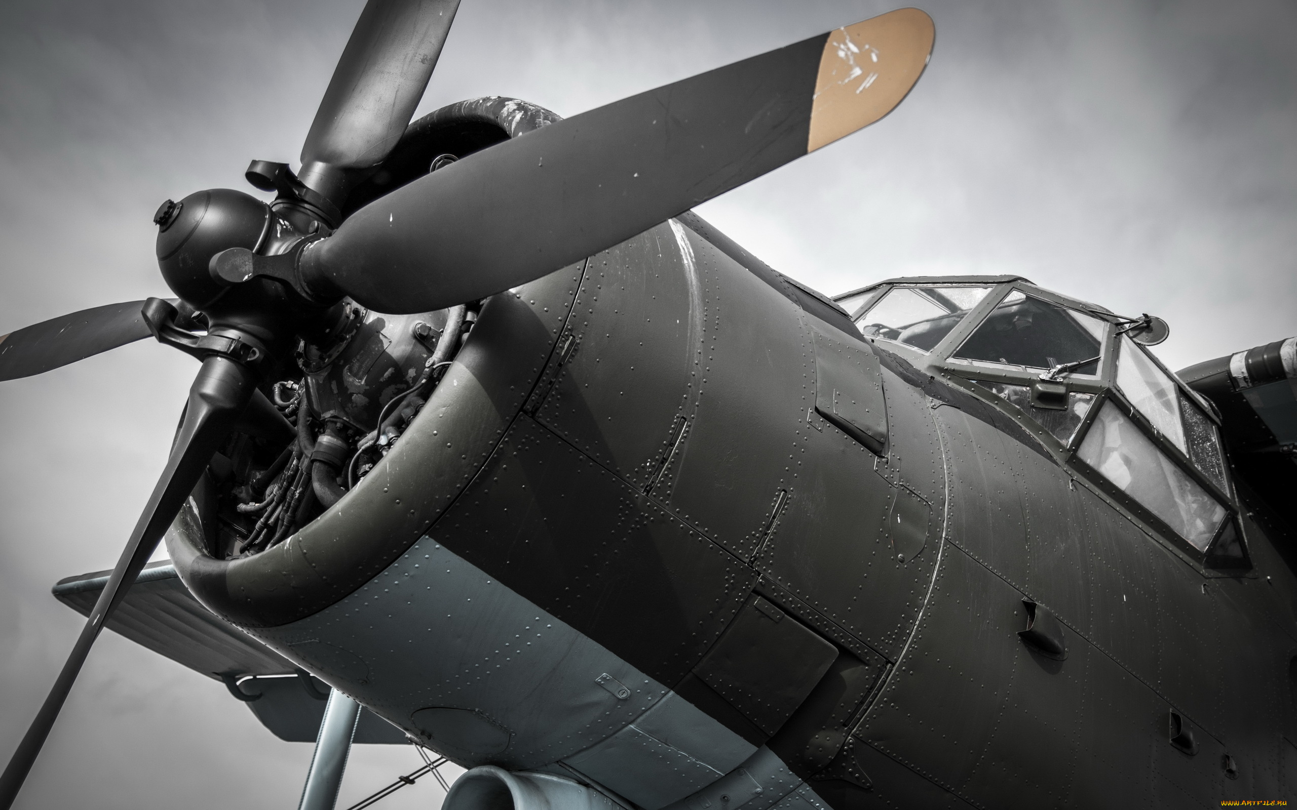 авиация, лёгкие, и, одномоторные, самолёты, винт