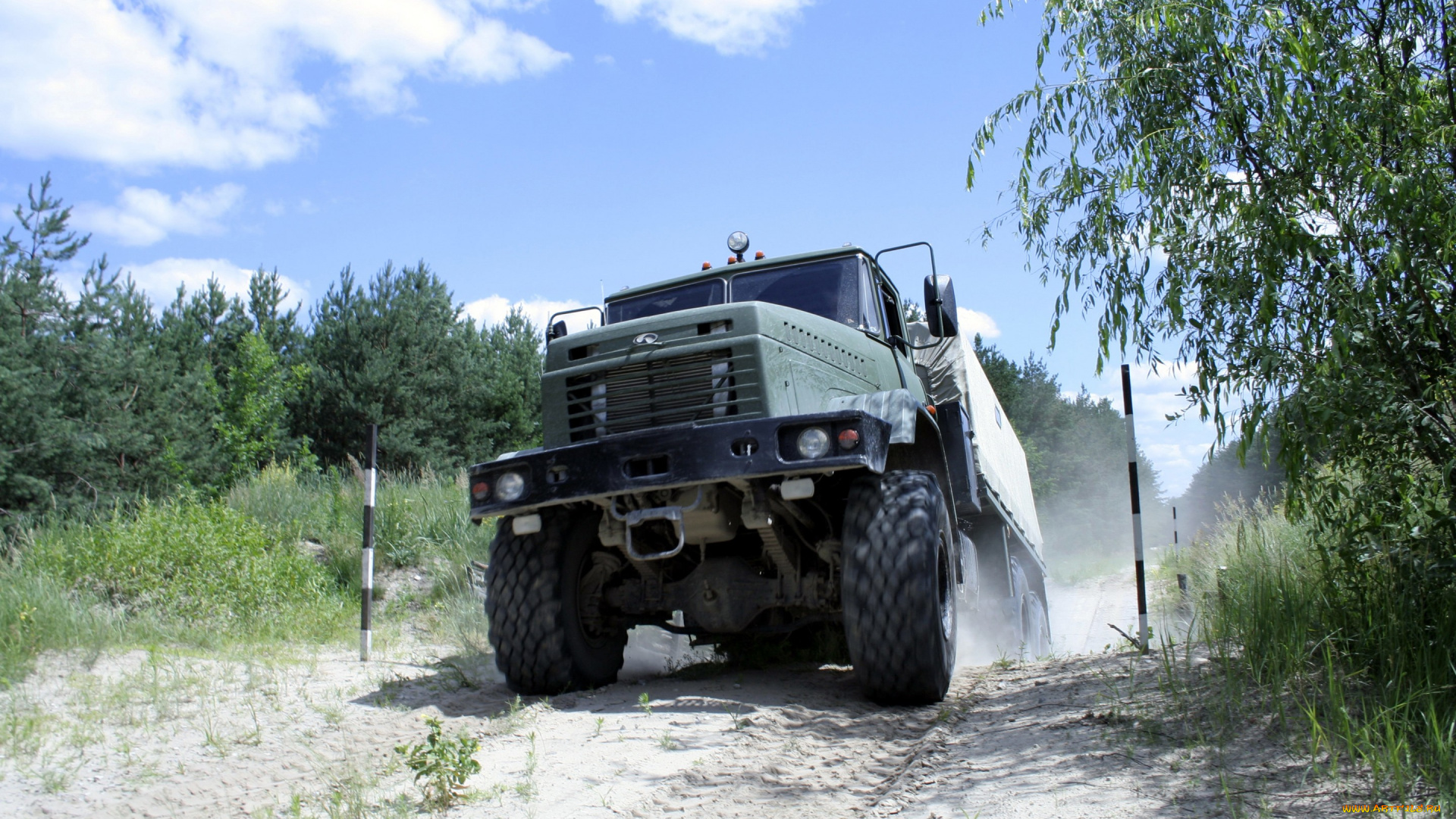 автомобили, краз, лес