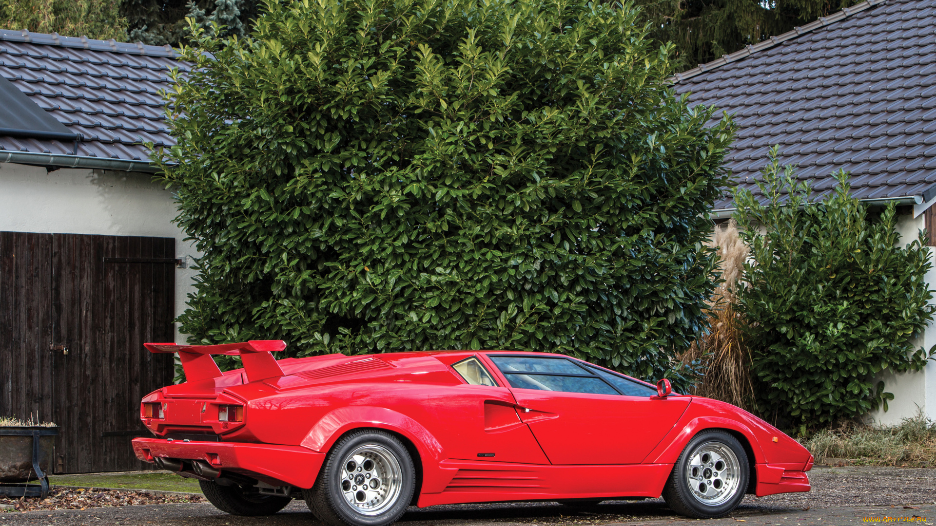 автомобили, lamborghini, countach