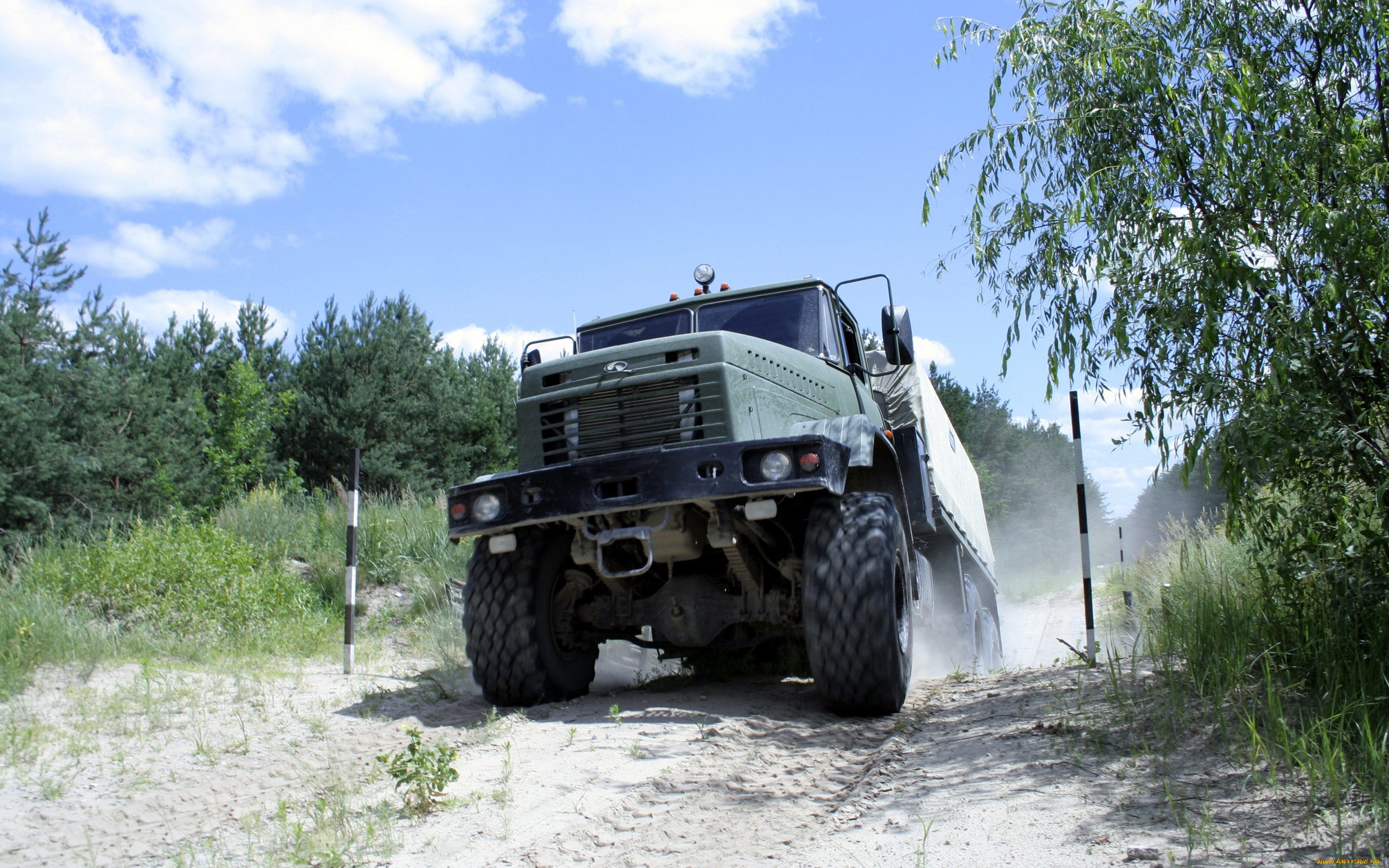 автомобили, краз, лес