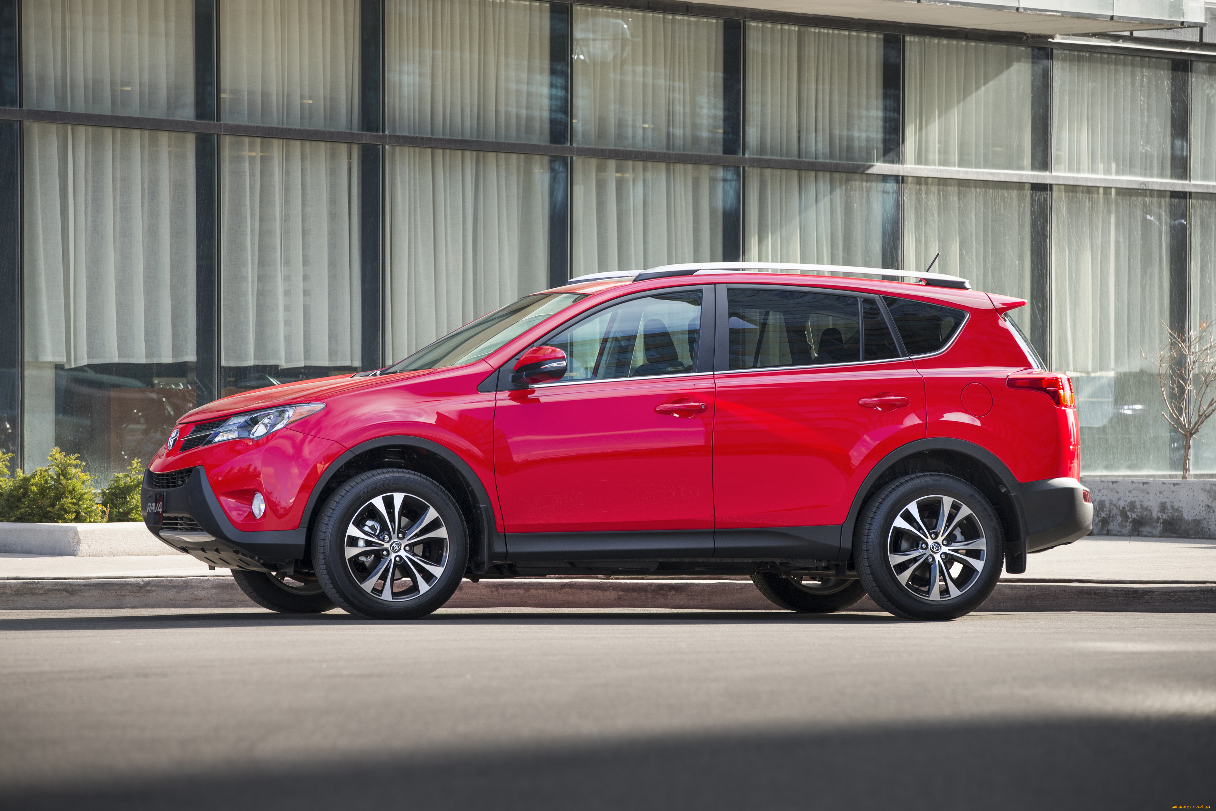 автомобили, toyota, красный, anniversary, 50th, rav4, 2015г