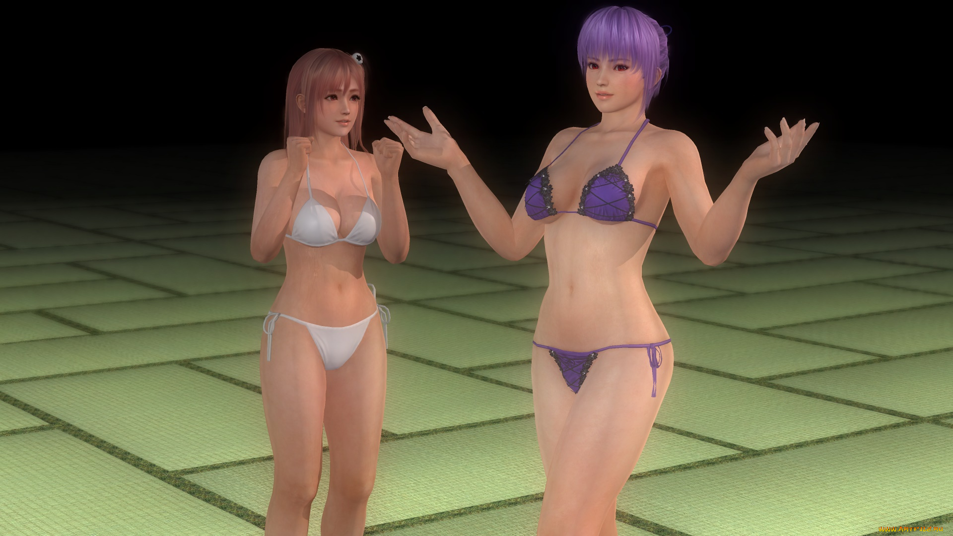 видео, игры, dead, or, alive, 5, девушки, honoka, and, ayane, фон, взгляд