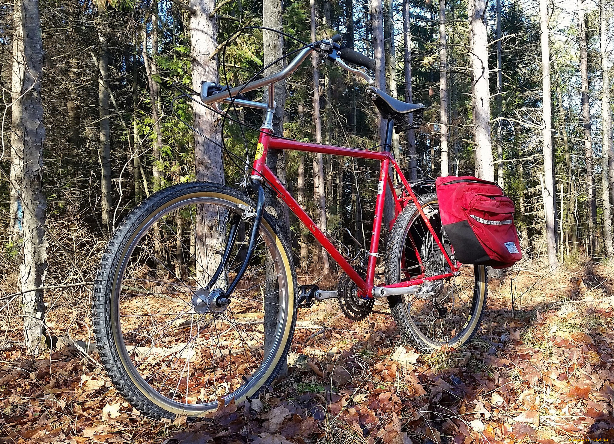 техника, велосипеды, велик