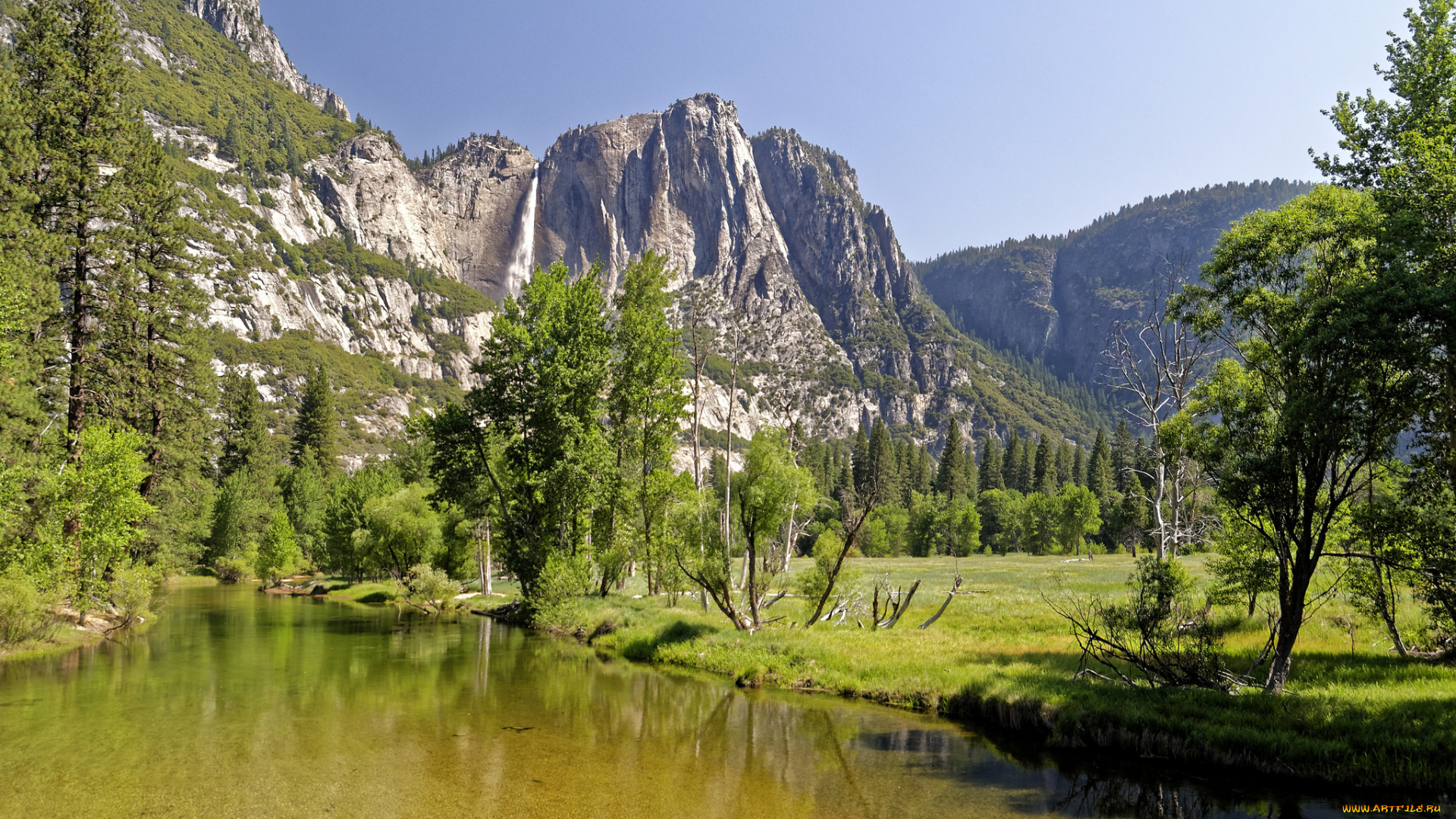 природа, реки, озера, лес, река