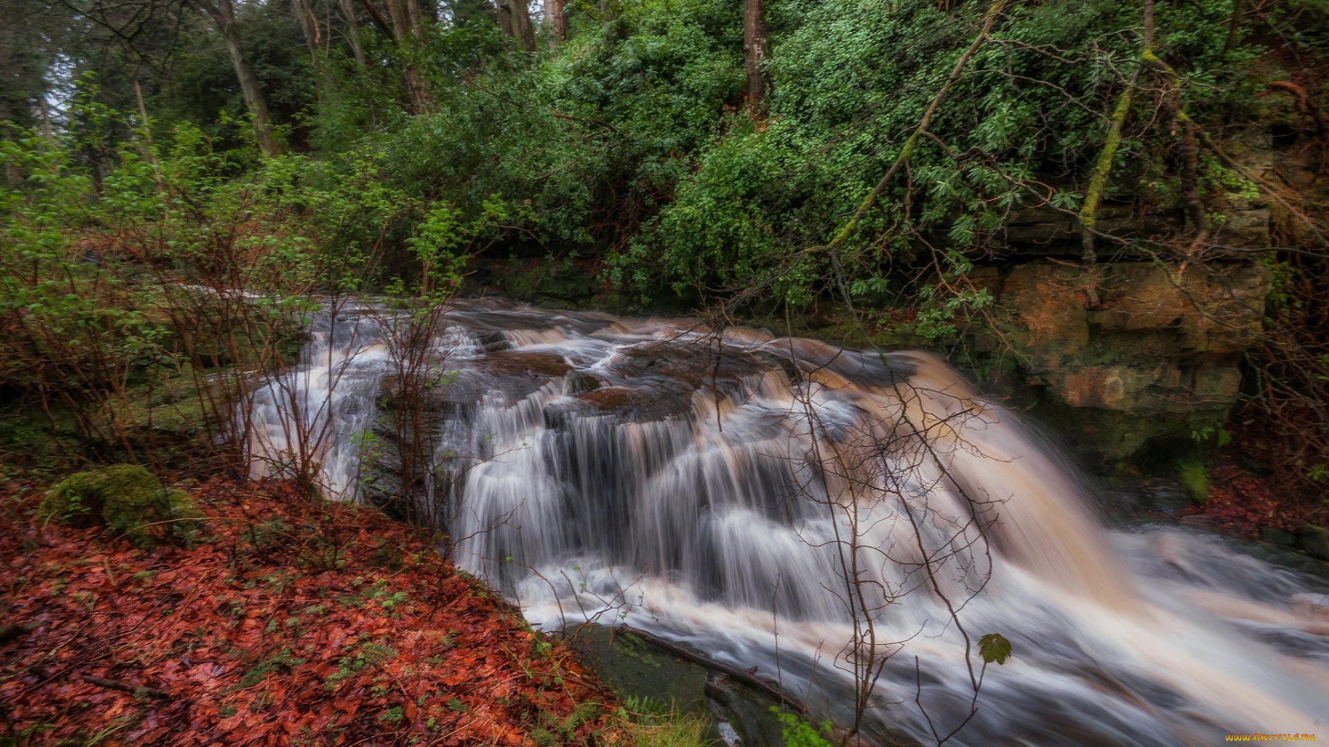природа, водопады, лес, река, водопад