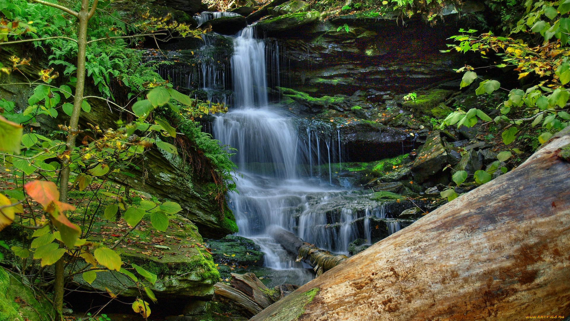 природа, водопады, поток, камни