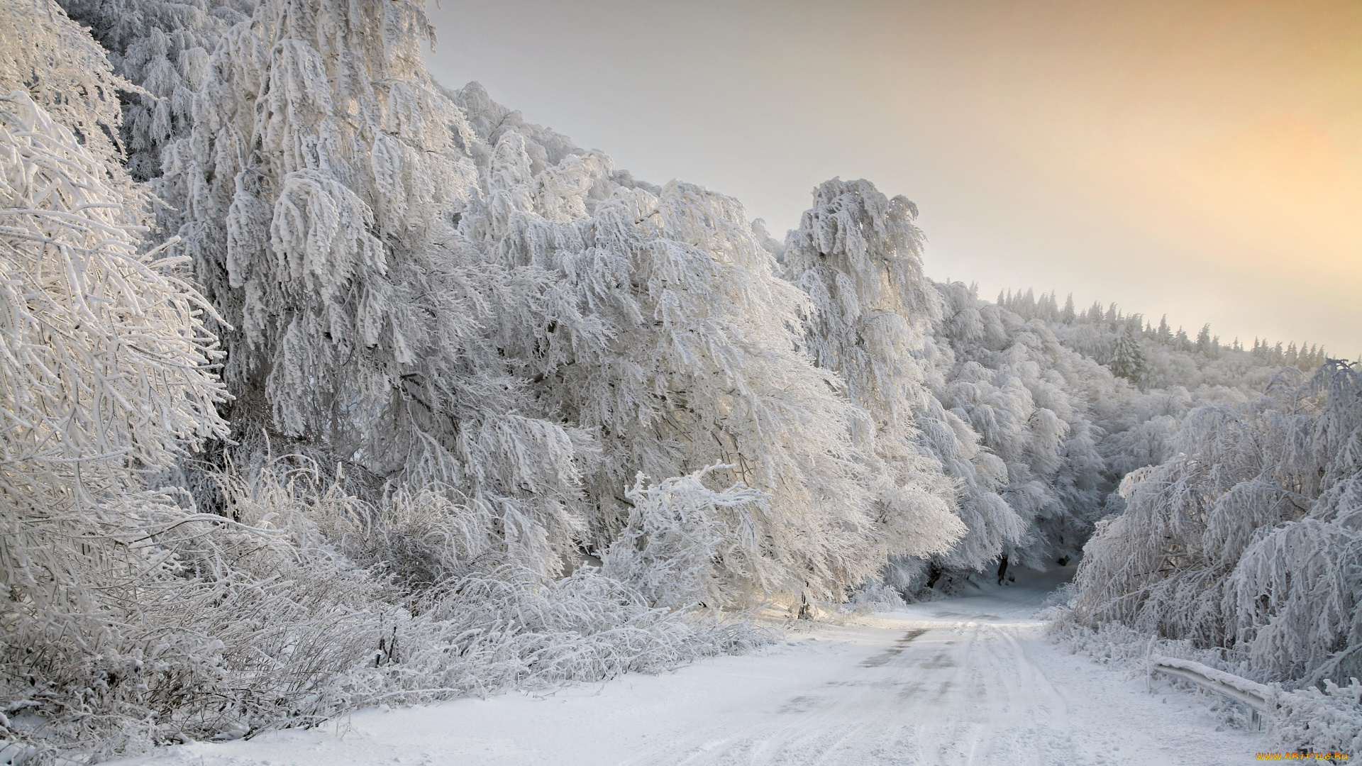 природа, зима, деревья, снег