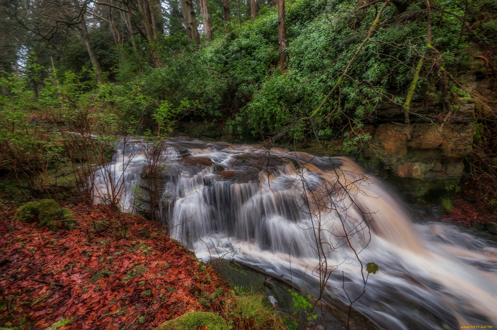 природа, водопады, лес, река, водопад