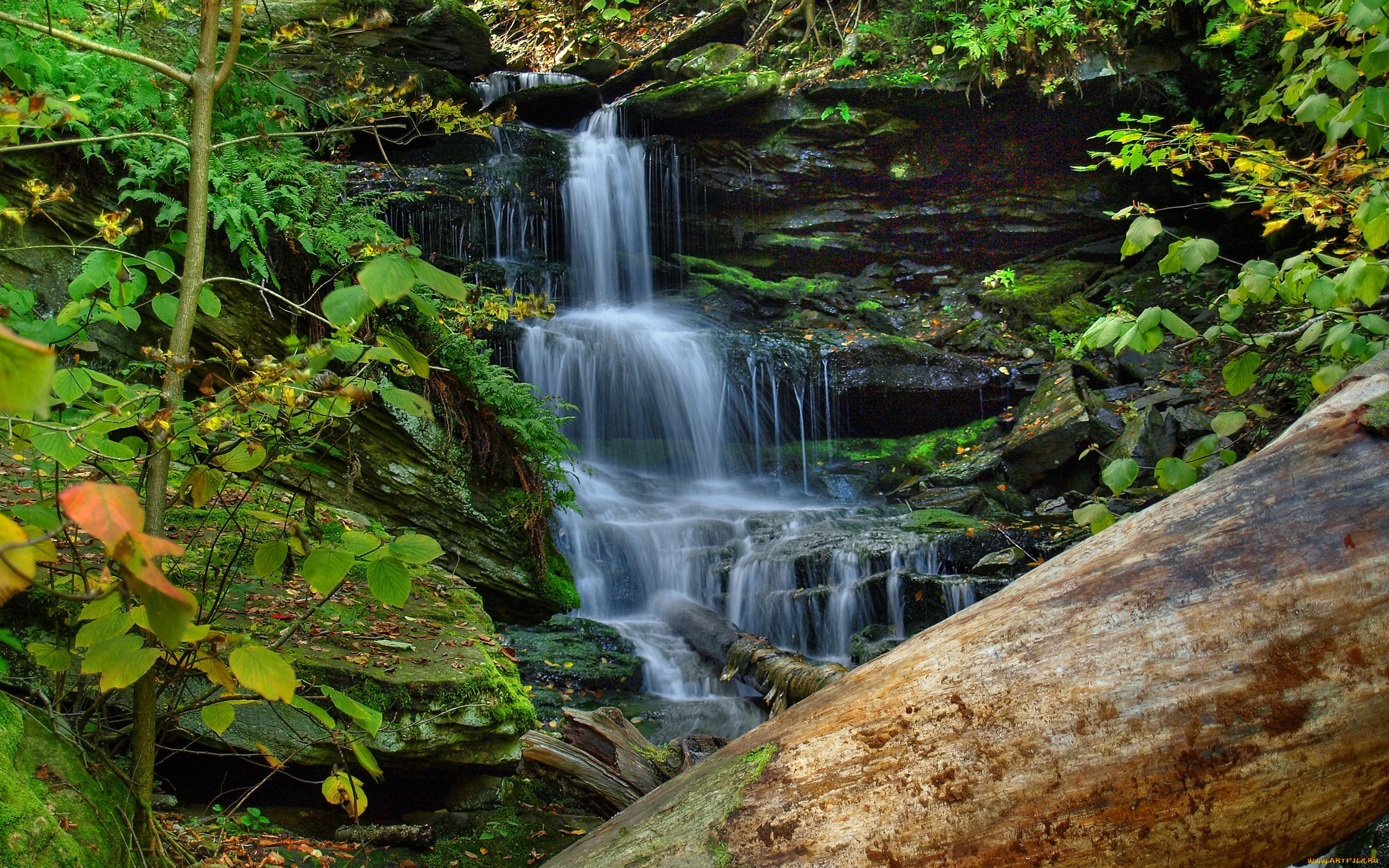 природа, водопады, поток, камни